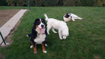 layka et loyd et gigi