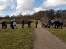 cours chiots 1